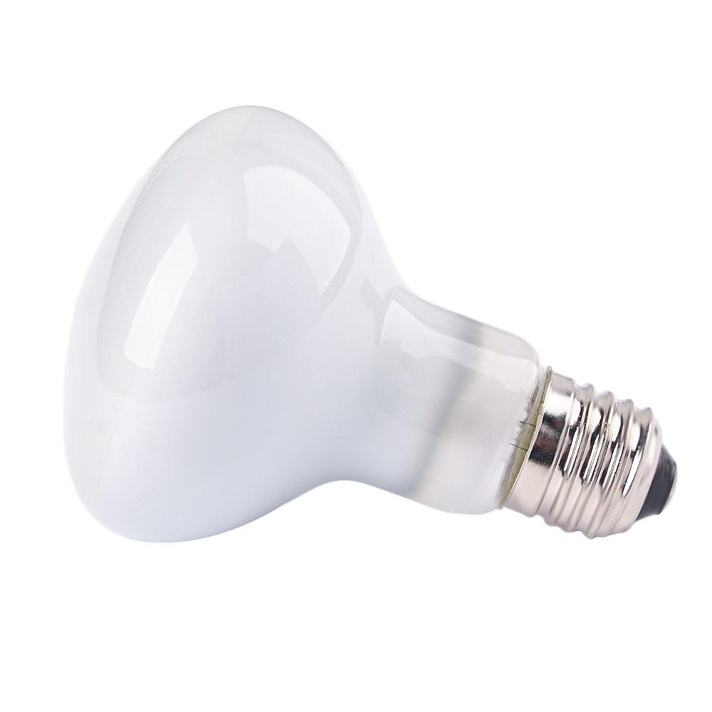 Basking Bulb Halogen - Amphibians Temperature Controller Heat Lamp Halogen