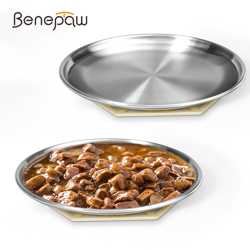 Royal Canin Food Medium - Benepaw Stainless Steel Shallow Cat Bowl