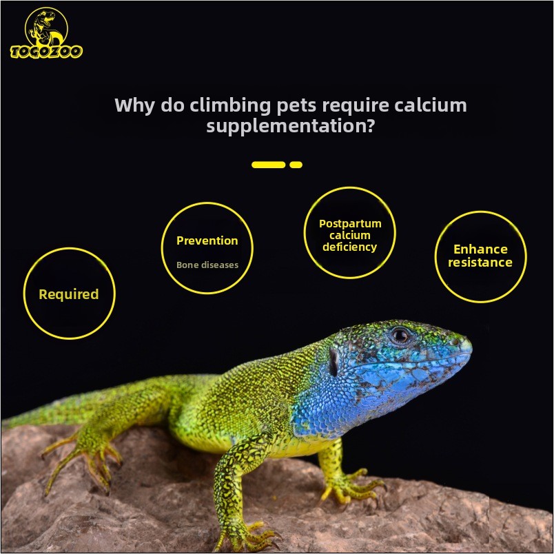 TOGOZOO WILDCAL Reptile Calciu - Calcium Powder Reptile 评论和价格