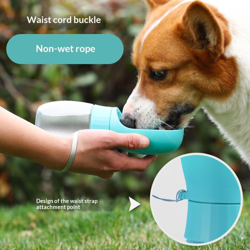 500ml Big Dog Water Bottle Por - Royal Canin Food Medium 评论和价格