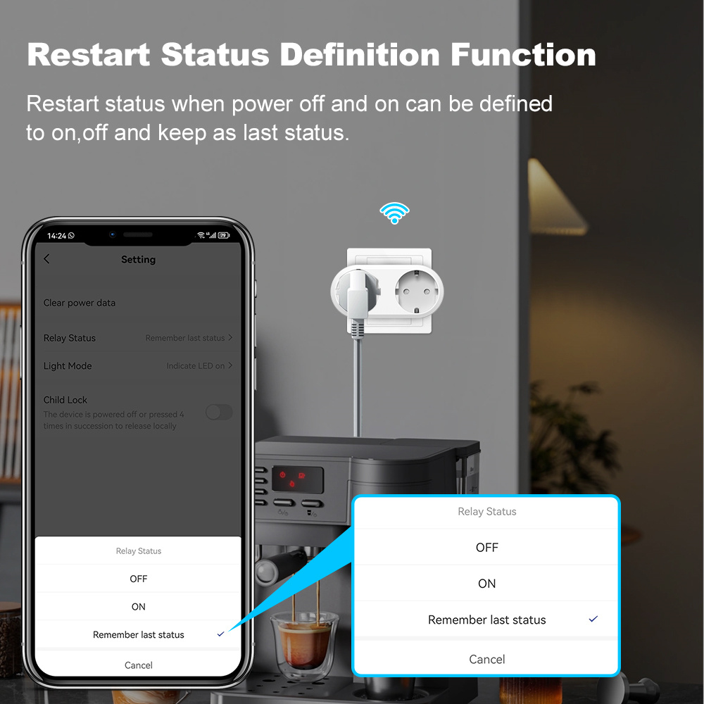 WiFi Smart Plug Dual Outlet 16 - Timer Dual Outlet 评论和价格