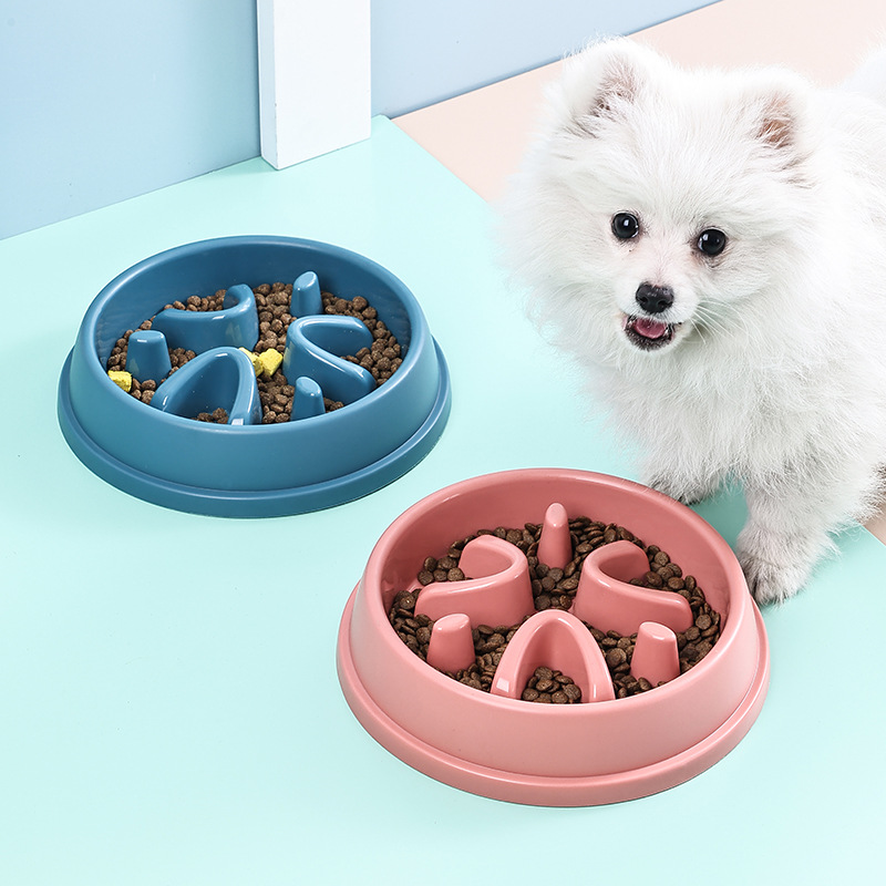 Healthy Dog Slow Feeder Bowl A - Royal Canin Food Medium 评论和价格