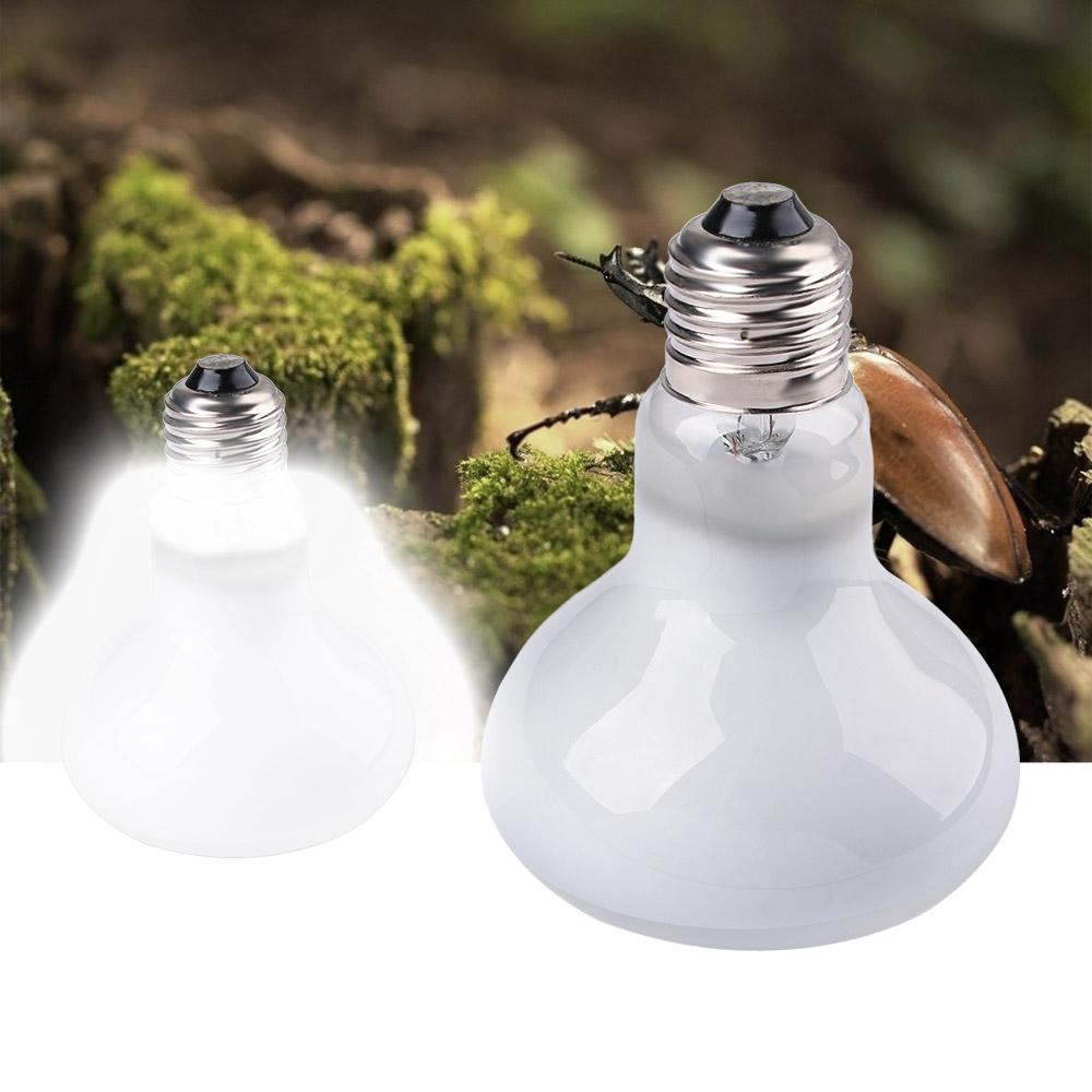 Amphibians Temperature Control - Basking Bulb Halogen 评论和价格