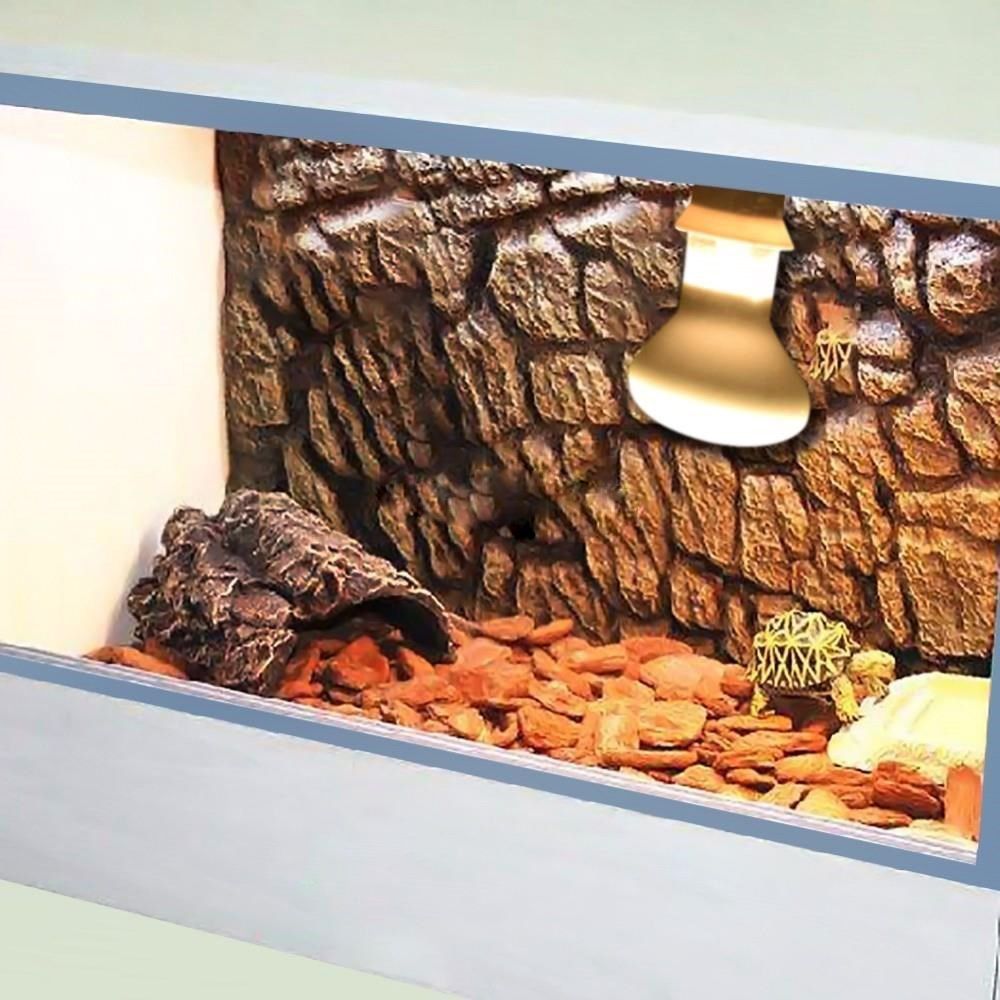 Turtle Heater Heat Lamp Reptil - Basking Bulb Halogen 评论和价格