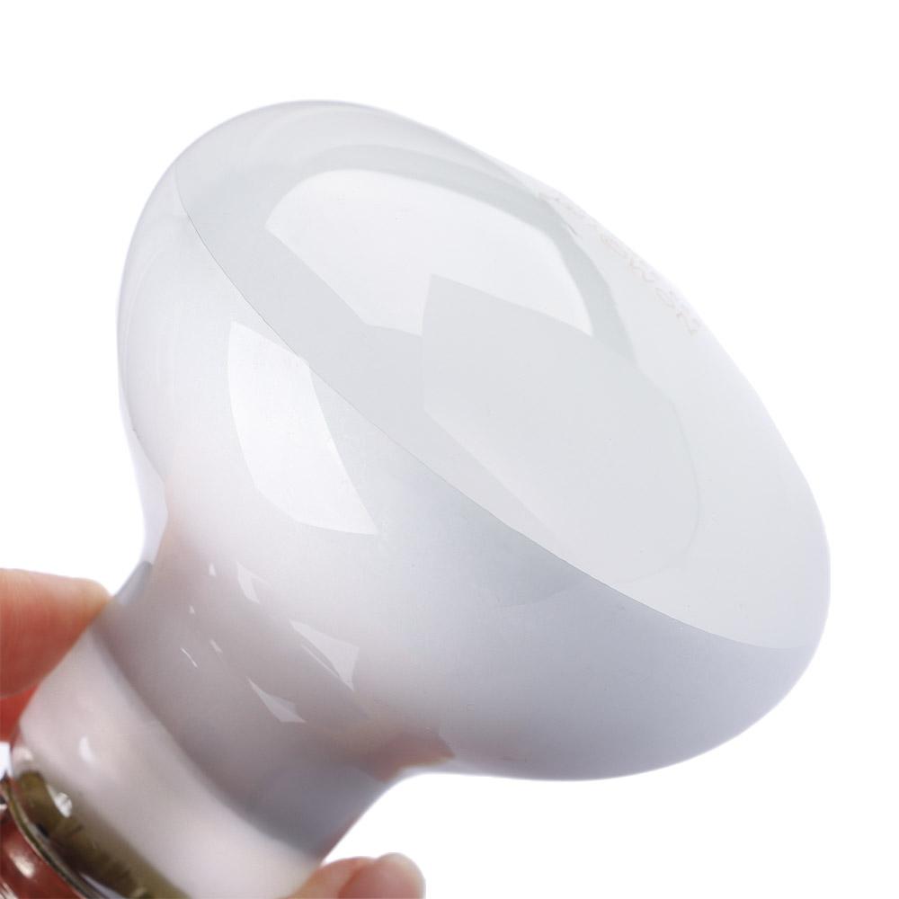 Turtle Heater Heat Lamp Reptil - Basking Bulb Halogen 评论和价格