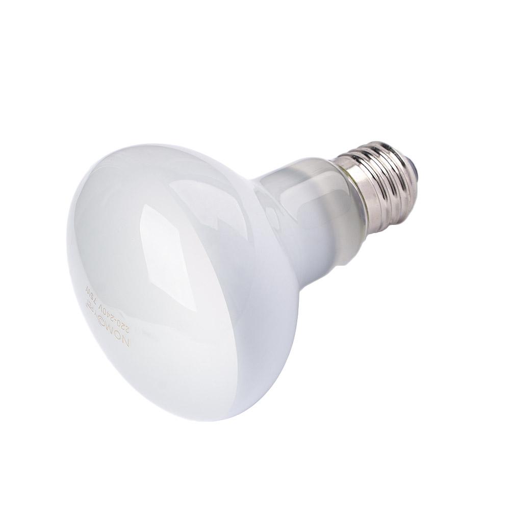 Turtle Heater Heat Lamp Reptil - Basking Bulb Halogen 评论和价格