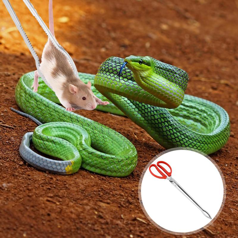 Stainless Steel Reptile Feeder - Feeding Tong Stainless 评论和价格