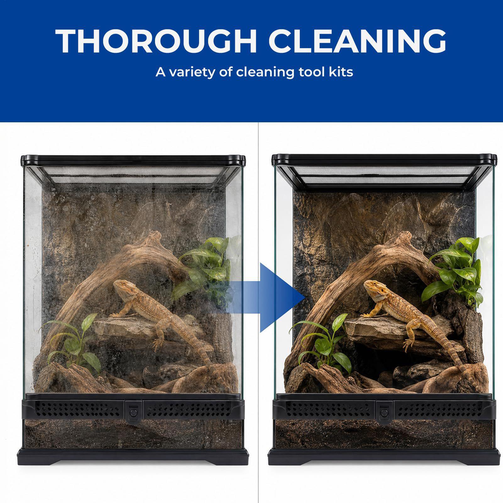 Bearded Dragon Tank Cleaning K - Feeding Tong Stainless 评论和价格