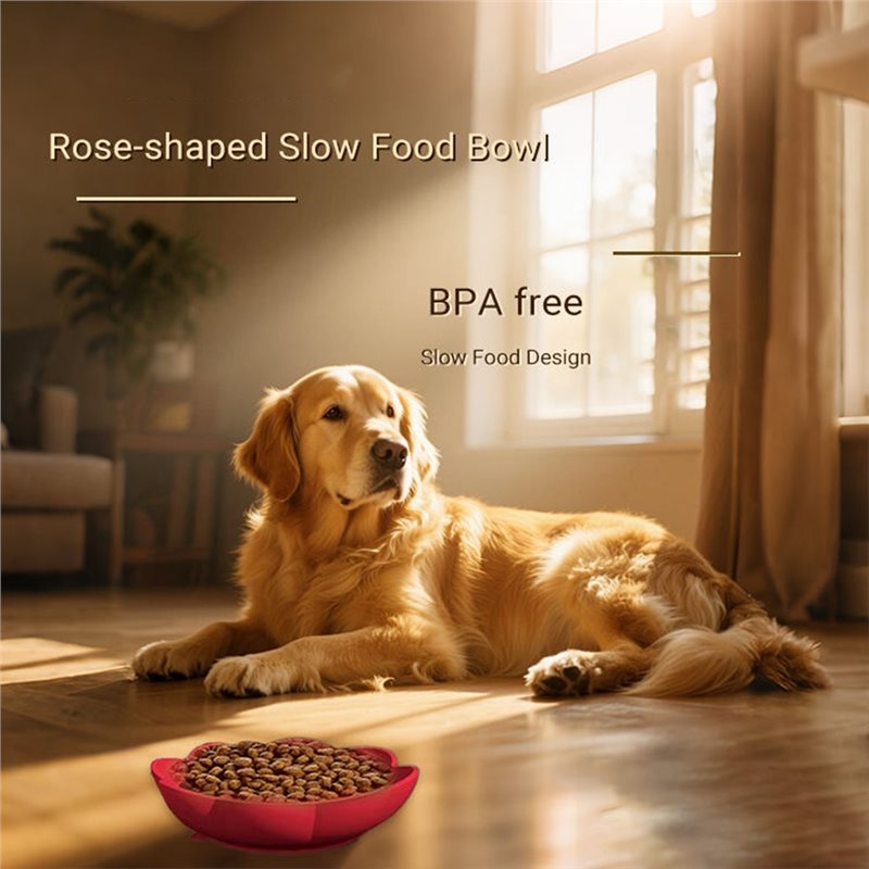 A11E-Pet Supplies Silicone Slo - Royal Canin Food Medium 评论和价格