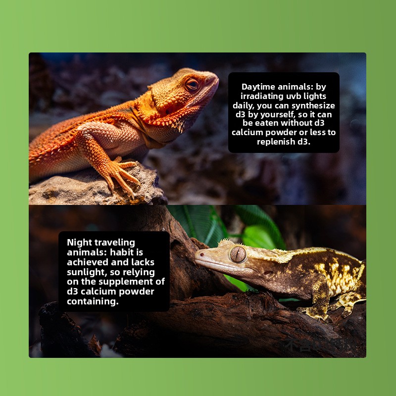 Reptizoo Reptile Calcium Powde - Calcium Powder Reptile 评论和价格