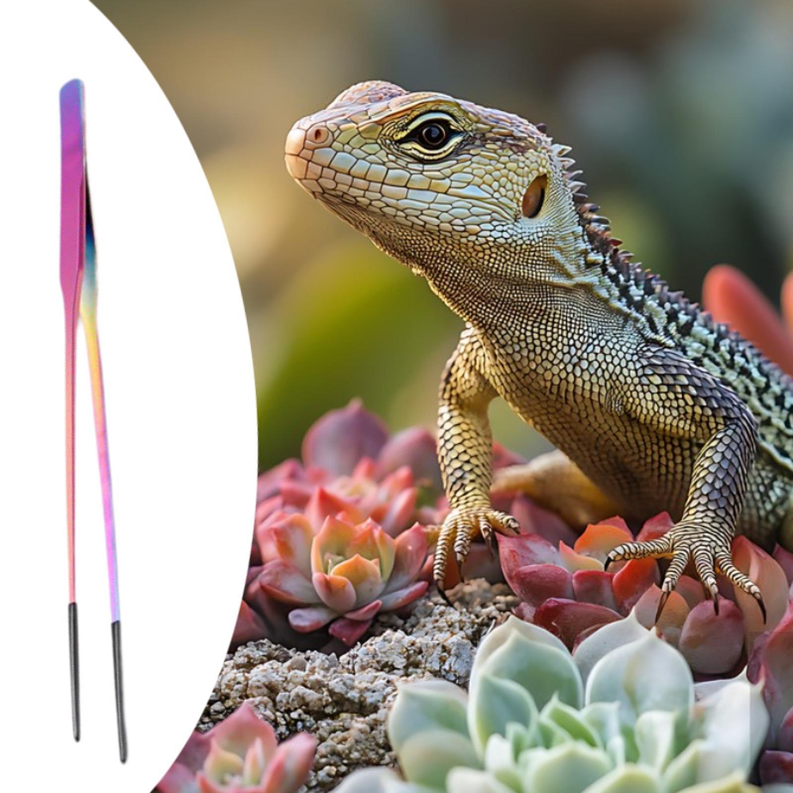 Small Pet Supplies Reptile Fee - Feeding Tong Stainless 评论和价格