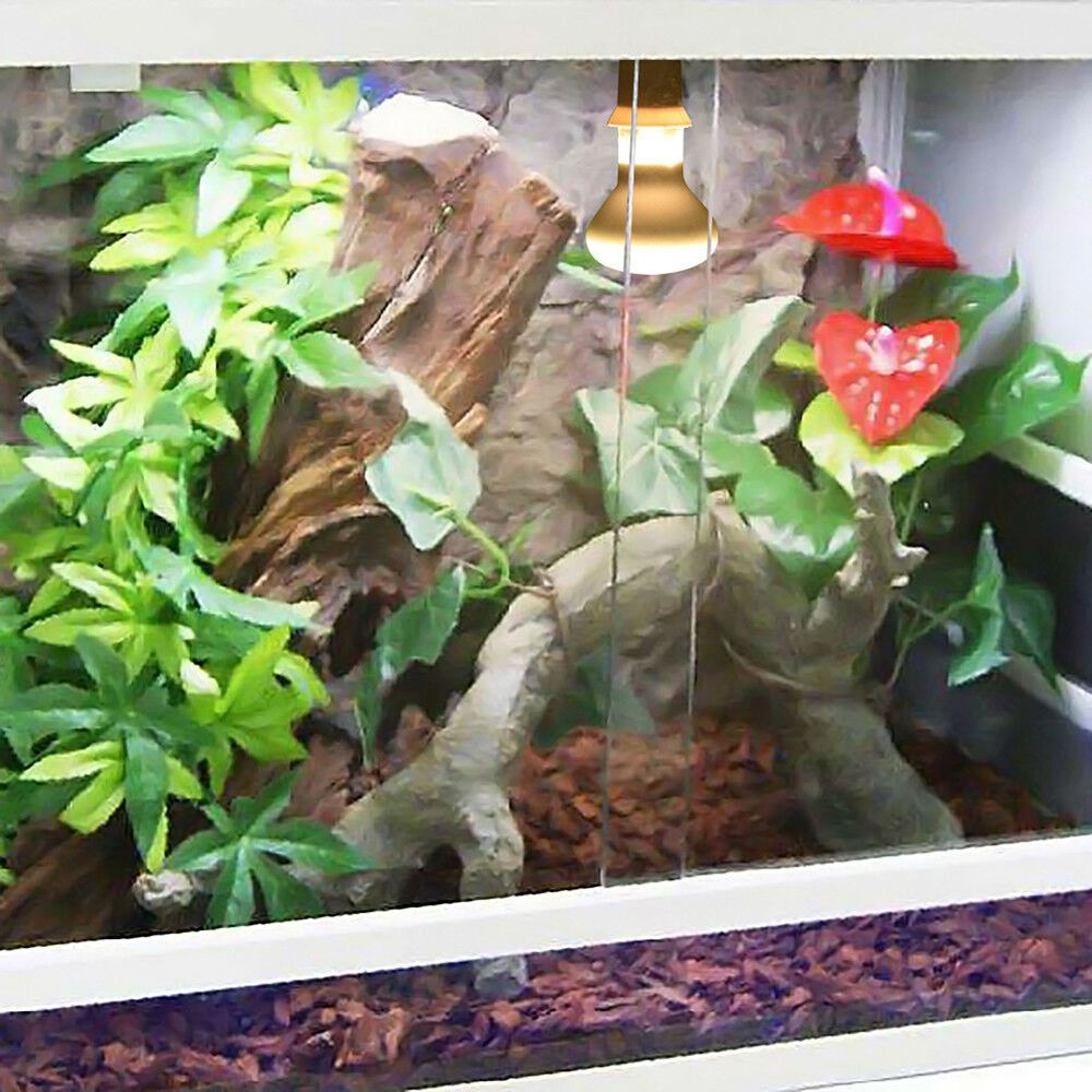 Turtle Temperature Controller  - Basking Bulb Halogen 评论和价格