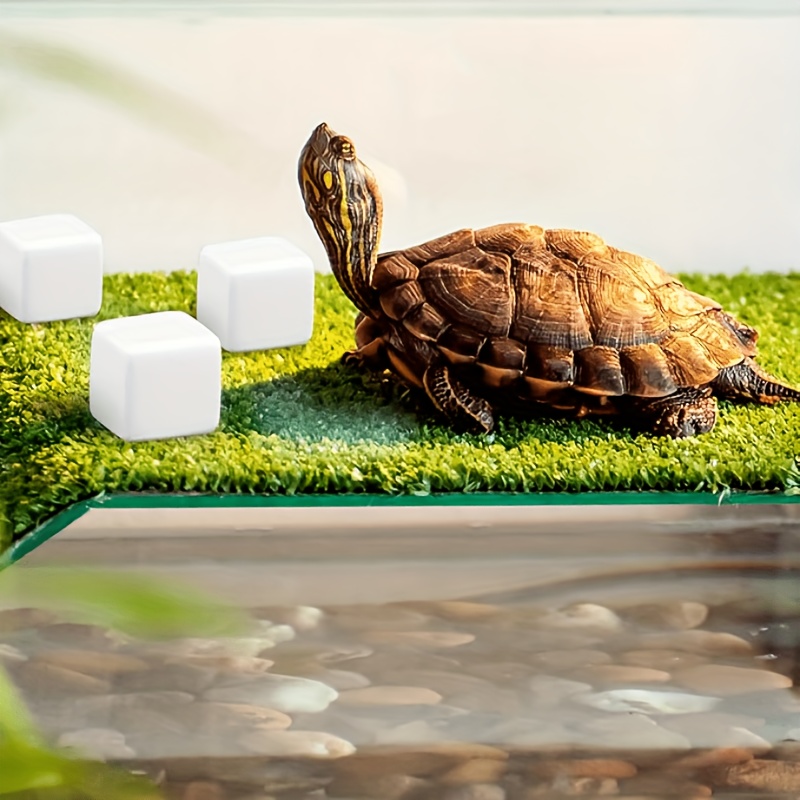 6Pcs Fish Tank Calcium Block M - Calcium Powder Reptile 评论和价格