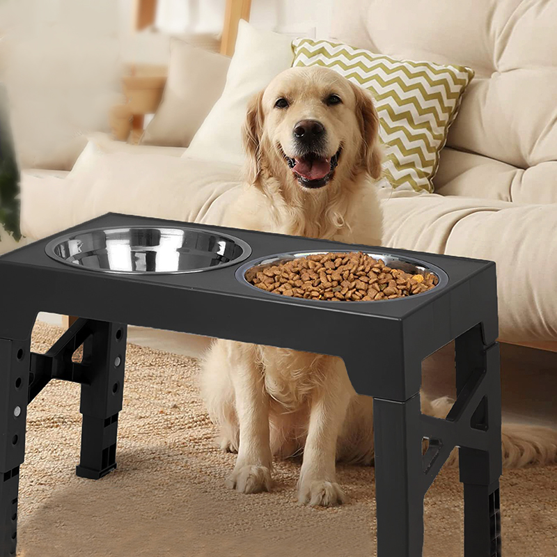 BOOTEELY Elevated Dog Feeder B - Royal Canin Food Medium 评论和价格